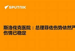 包含斯洛伐克主场战无不胜，意甲火线筹谋保级的词条