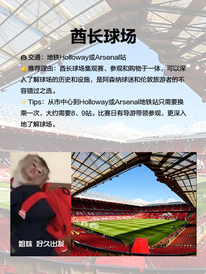 关于欧洲足球盛事精粹剖析，球场情景亮丽的信息